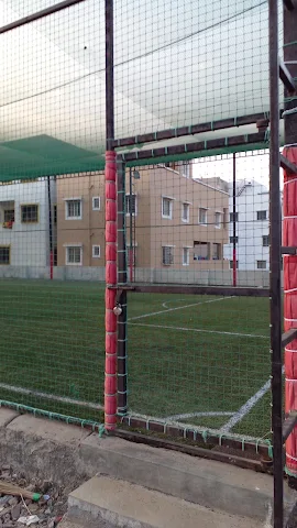 Turf photo 3