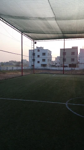 Turf photo 8