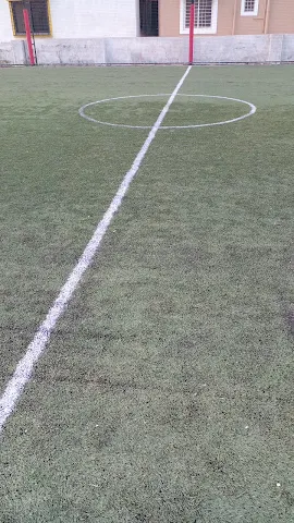 Turf photo 7