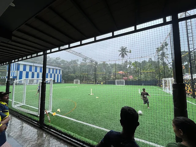 Turf photo 3