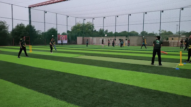 Turf photo 4
