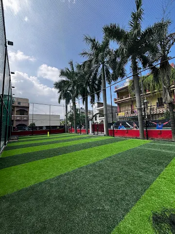 Turf photo 3