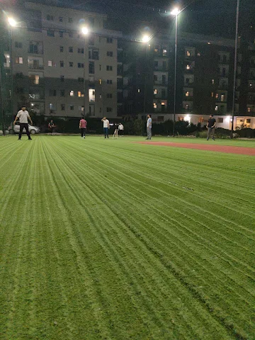 Turf photo 5