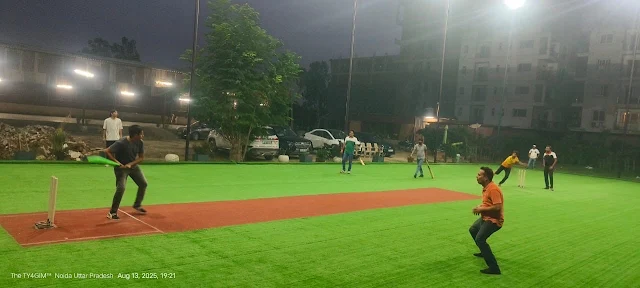 Turf photo 3