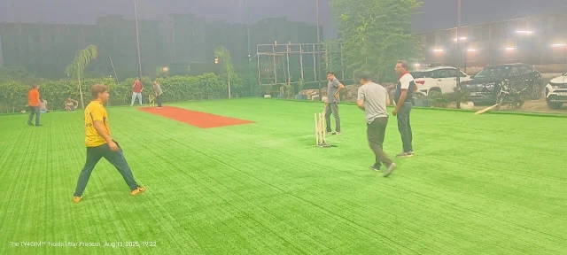 Turf photo 2