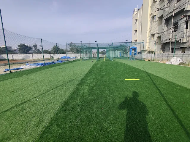 Turf photo 3