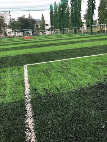 Turf photo 3
