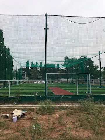 Turf photo 8
