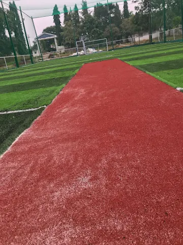 Turf photo 4