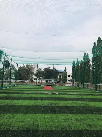 Turf photo 2