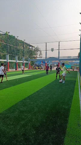 Turf photo 5