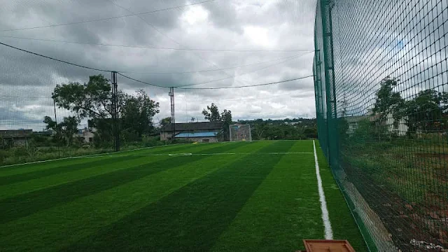 Turf photo 4