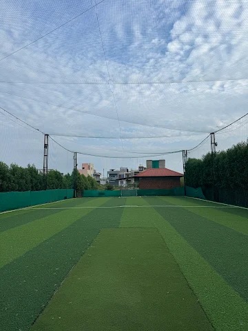 Turf photo 2