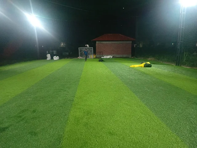 Turf photo 3