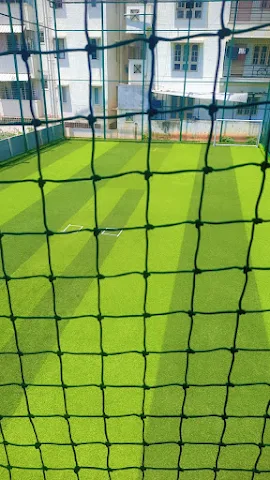 Turf photo 4