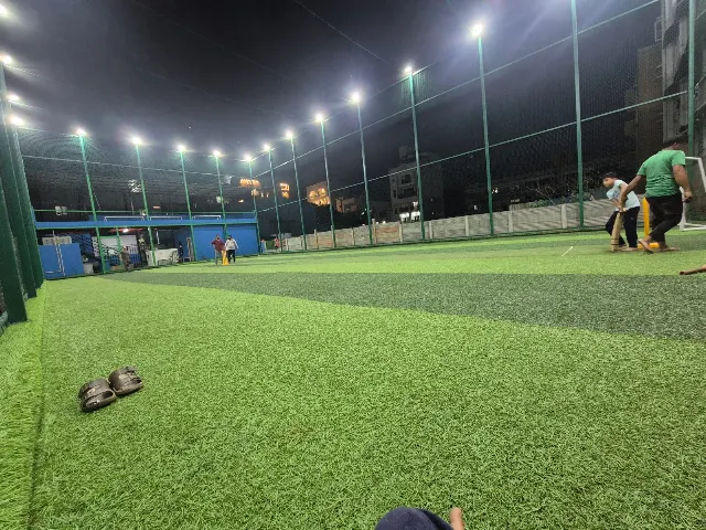 Turf photo 3