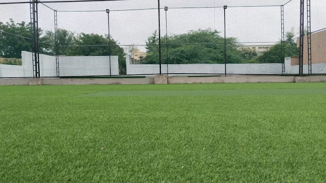Turf photo 2