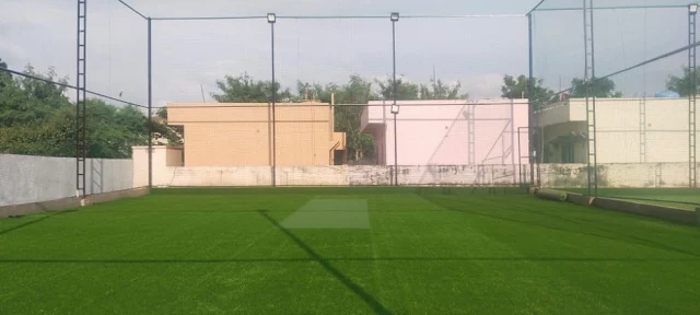 Turf main photo