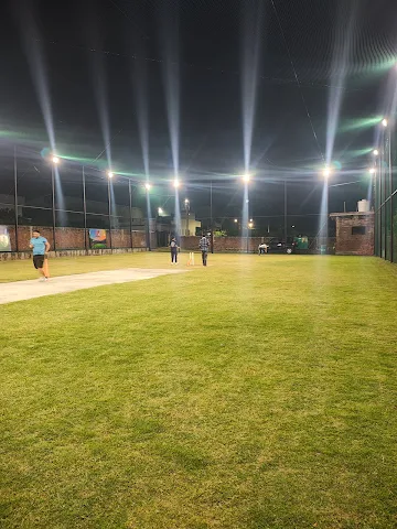 Turf photo 2