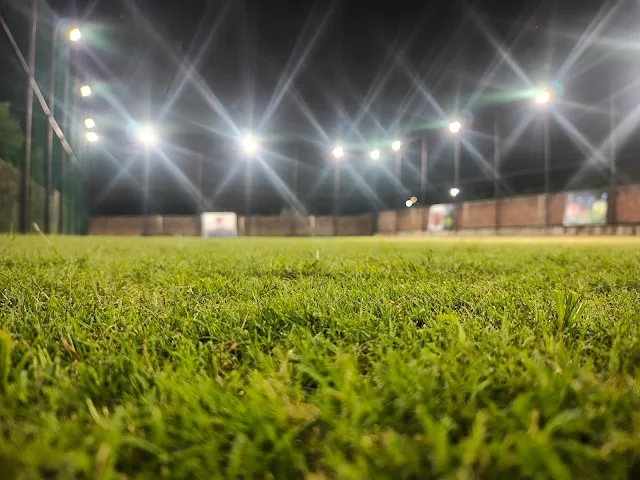Turf photo 3