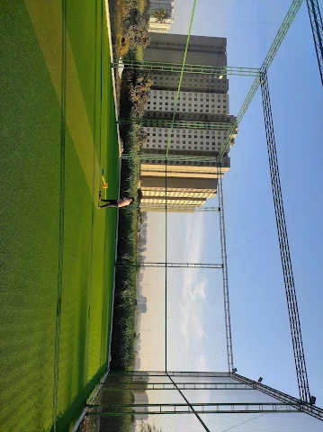 Turf photo 2