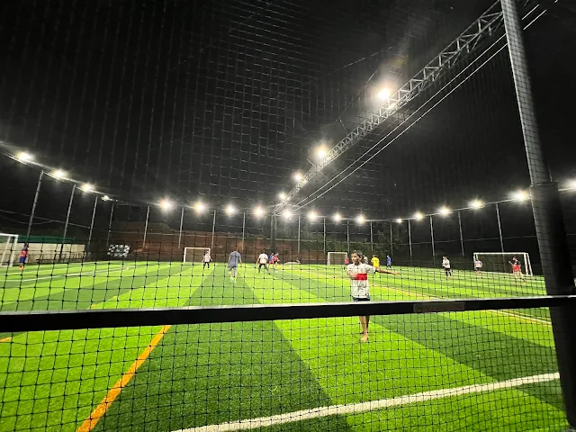 Turf photo 2
