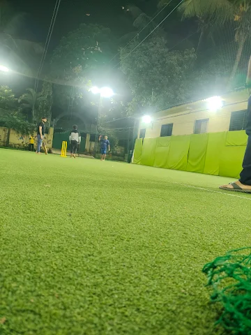 Turf photo 8