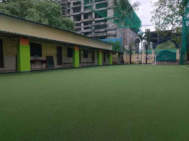 Turf photo 5
