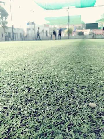 Turf photo 2