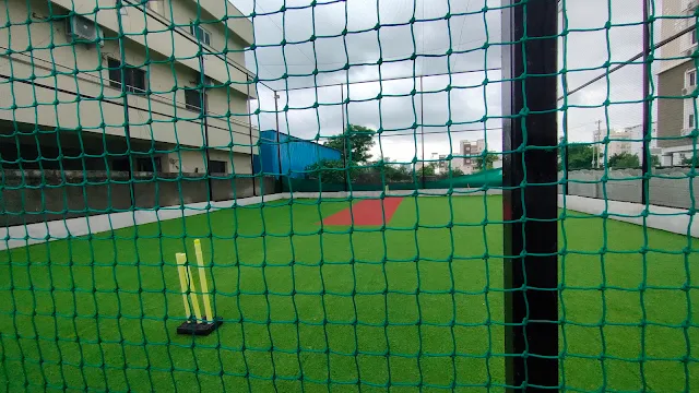 Turf photo 2