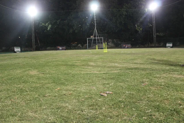 Turf photo 2