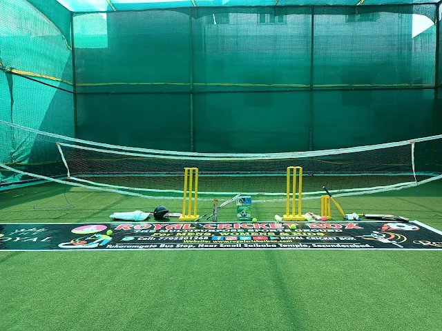 Turf photo 4