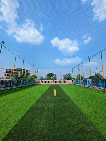 Turf photo 8