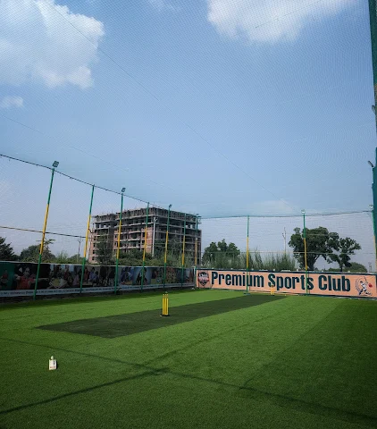 Turf photo 6