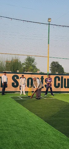 Turf photo 3