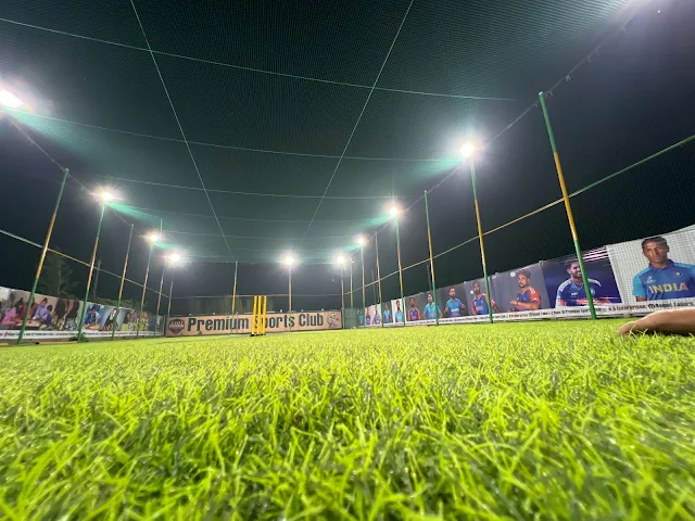 Turf photo 2