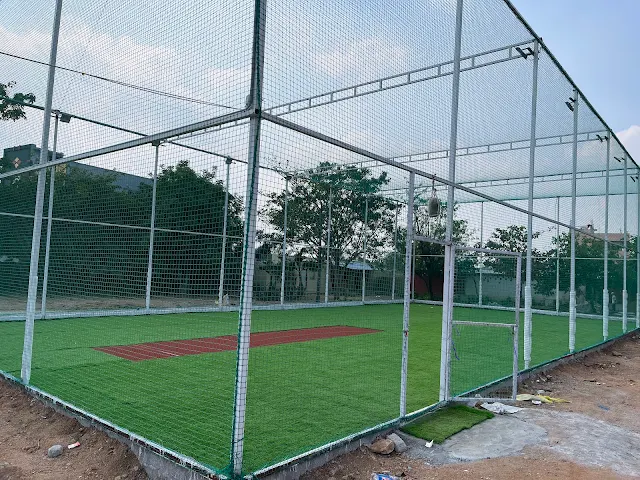 Turf photo 2