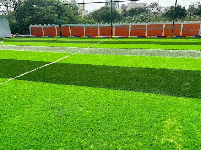 Turf photo 2
