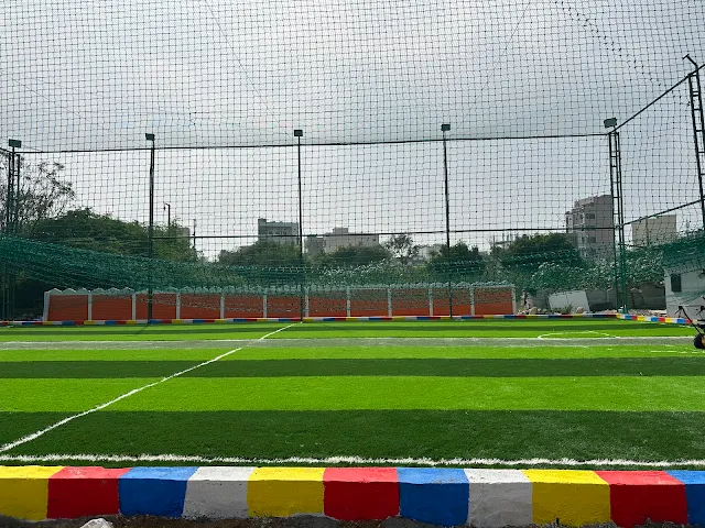 Turf photo 5