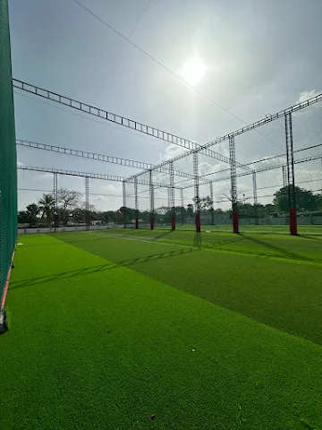 Turf photo 2