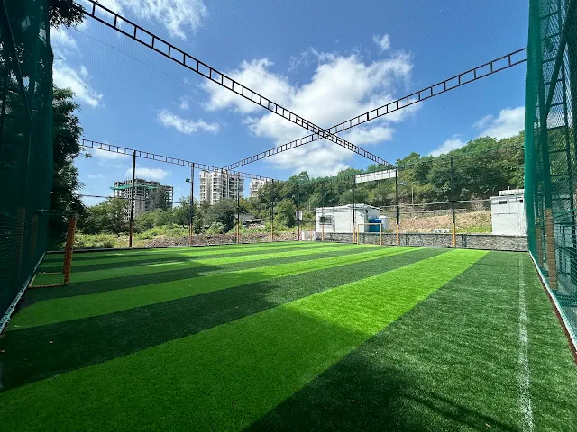 Player's 11 Turf Ground