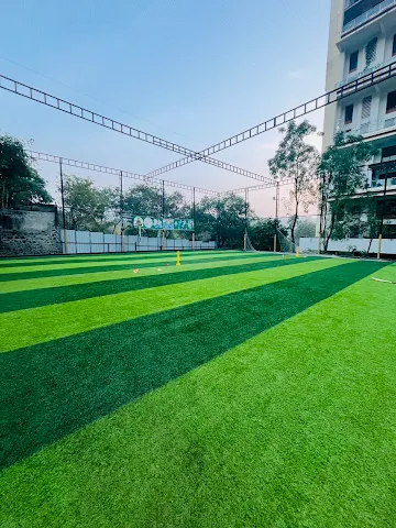 Turf photo 3