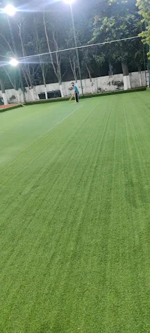 Turf photo 3