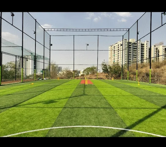 Turf photo 2