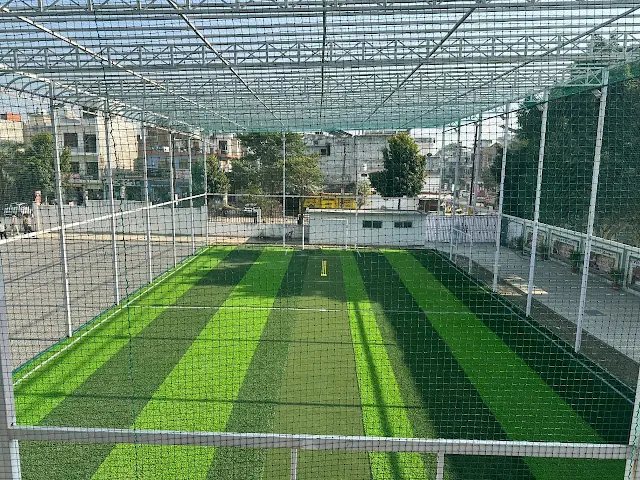 Turf photo 2