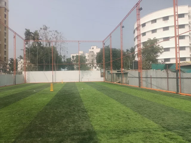 Turf photo 2