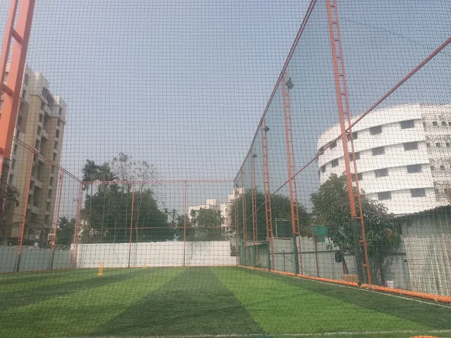 Turf main photo