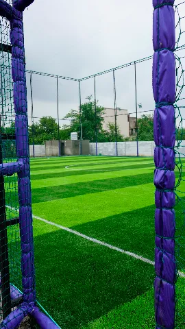Turf photo 3