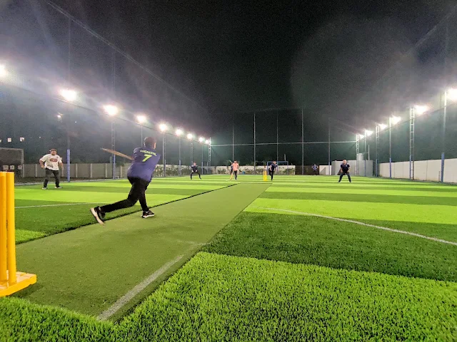 Turf photo 2