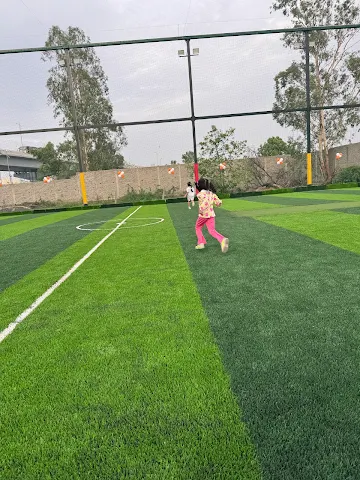 Turf photo 5